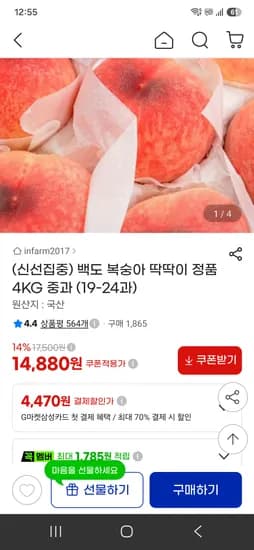 백도 복숭아 딱딱이 4KG 중과 (19-24과) 14880원