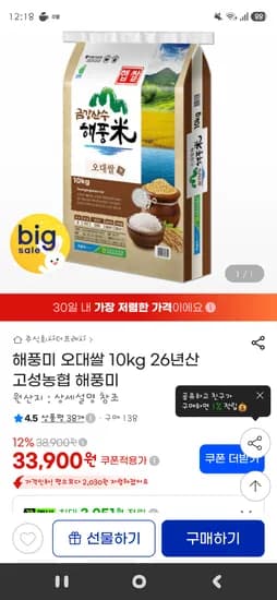 오대쌀 10kg 26년산 고성농협 해풍미/ 33900원