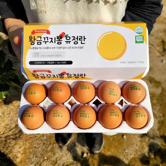 난각번호1번 프리미엄 유정란 꾸지뽕 먹고 자란 자유 방사 유정란 자연방목 계란 대란 20구