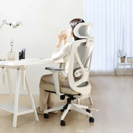 린백 컴퓨터 사무실 책상 공부 학생 허리 편한 국내생산 의자 LB235H 199,000원