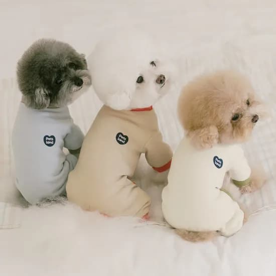 강아지 올인원 내복 실내복 겨울옷 버터소프트