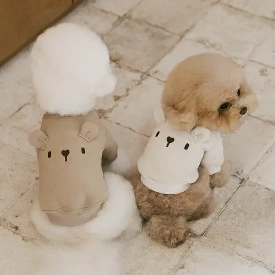 강아지 겨울옷 실내복 강아지옷 기모 티셔츠 누베어