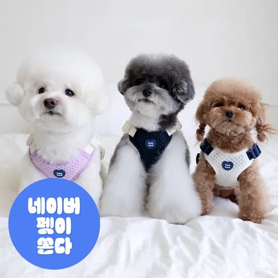 강아지 하네스 가슴줄 X형 애견 반려견 중형견 소형견 에어브레스 HARNESS 단품 S