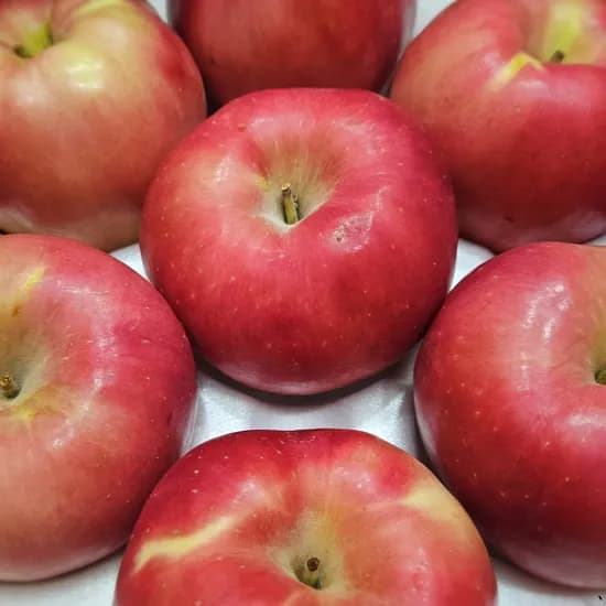 윗집아들네 고당도 프리미엄 홍로 감홍 부사 아리수 사과