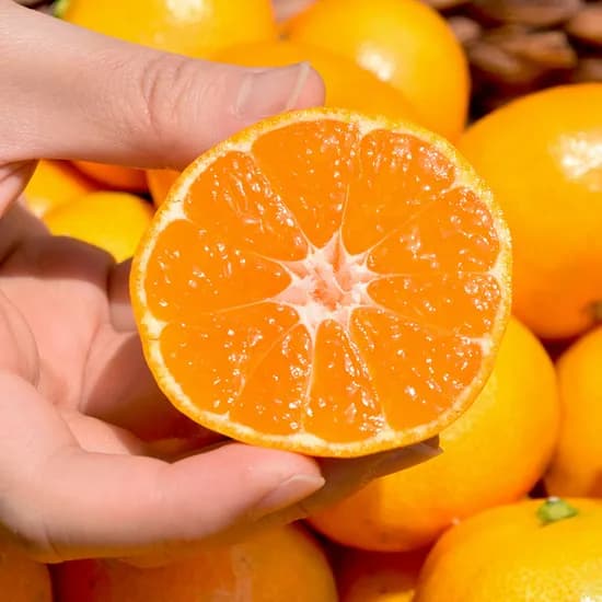 품질보장 제주 감귤 1kg