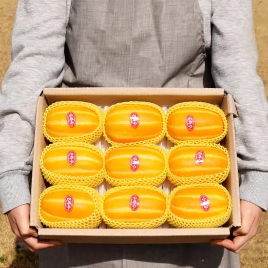 품질보장 성주 참외 2kg