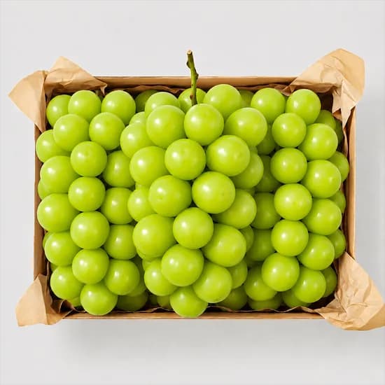 수출용 샤인머스캣 김천 GAP 샤인머스켓 1.5kg 2kg 4kg