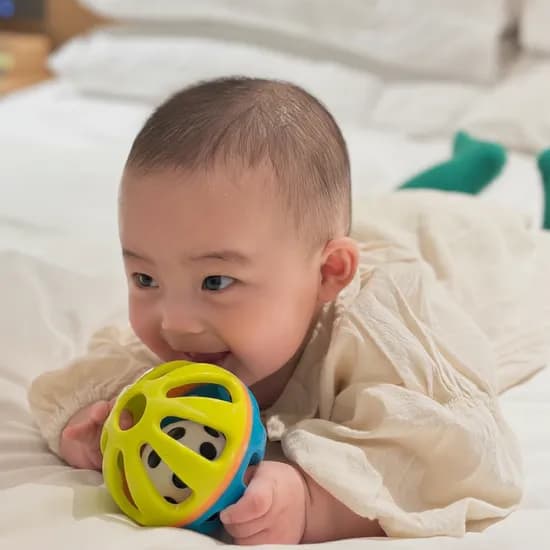 쎄씨 스퀴시 딸랑이 차임볼 영유아 장난감 백일 돌 출산 선물