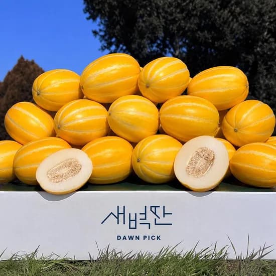 성주 꿀 참외 가정용 고당도 못난이