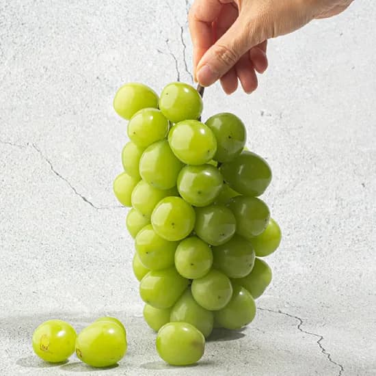 정품 김천 샤인머스켓 2kg x 총 4수 / 국내산 프리미엄 씨없는 청포도