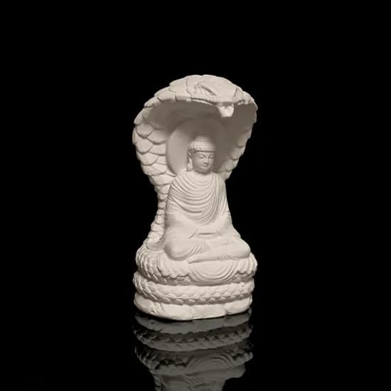 Buddha of the Year