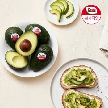 아보카도 중소과 10개