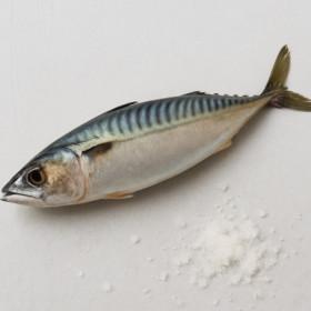 국내산 손질 자반 고등어 12마리 (2kg~2.5kg 내외) (11,850원/무료)