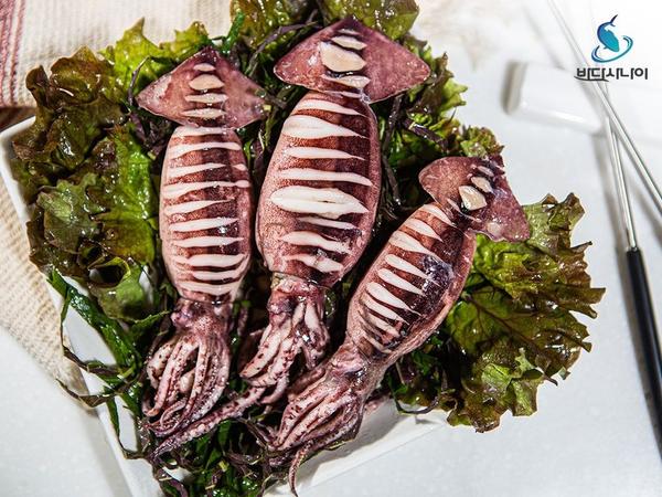 반건조오징어 5미 450g 내외 등 (12,050원~/무배)