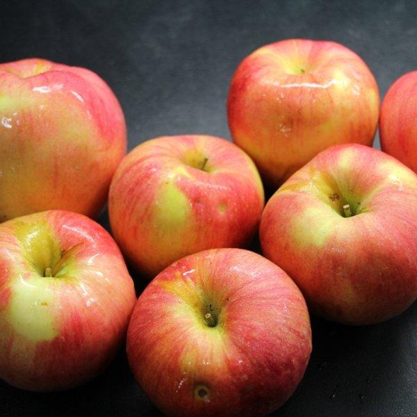 산지직송 부사 9kg 중대과 (페이코 33,979원/무료)2