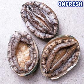 완도활전복 1kg 9-10미(18,920/무배)1