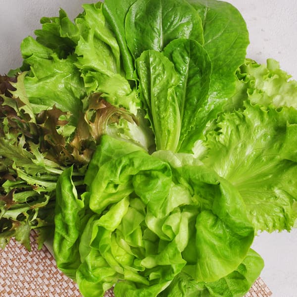 샐러드채소 쌈채소 유러피안샐러드 1kg 3-6종 (4,670원/무료)3
