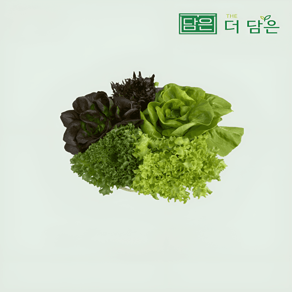 유러피안 샐러드 1kg (6,500원/무료)2