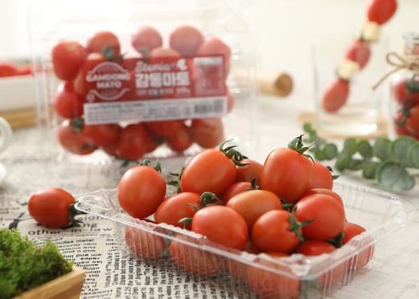 스테비아 방울토마토 2kg (10,940원/무료)6