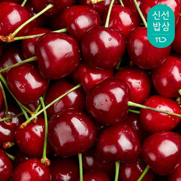 항공 직송 체리 9.5R 350+350g 2팩 (700g 발송) (15,490원/무배)3