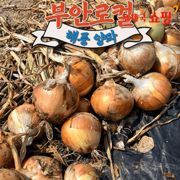 양파3k 중대혼합(3,300/무료)0칼로리(수박바10+죠스바10+스크류바10)(14,900/무료)