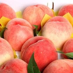 달콤한 백도 복숭아 4kg 16과내 18,900원/무료배송33