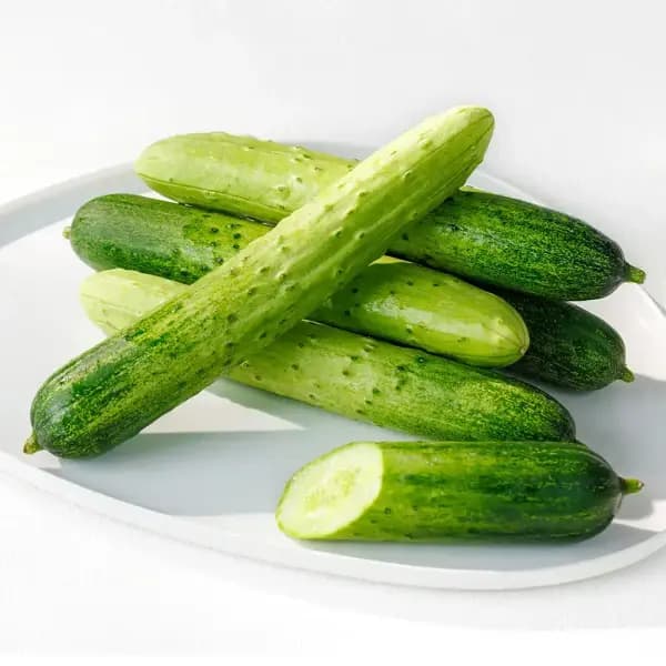 백다다기 특품 오이 1kg (5760원/무배)3
