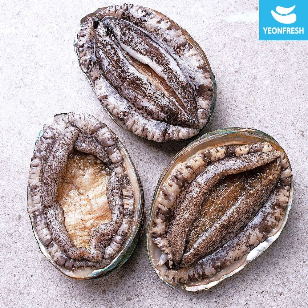 완도 활전복 1kg 8-9미 (20,340원/무료)