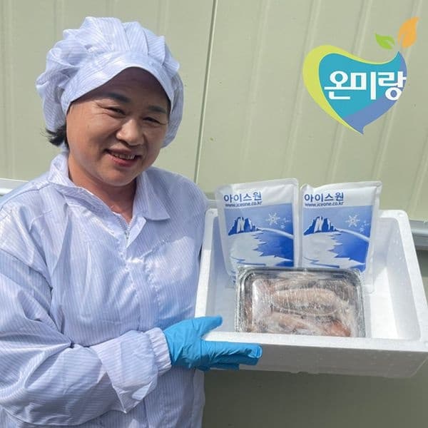 온미랑 국내산 동해안 영덕 당일바리 초코 생물급냉 총알(통)오징어 1kg 6-15미 (13,060원/무료)2