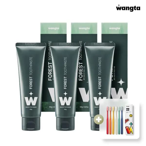 왕타 포레스트 치약 100g x 3개 (12,800원/무배)1