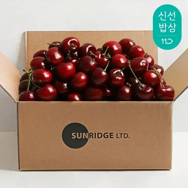 생체리 26mm 400g 4팩