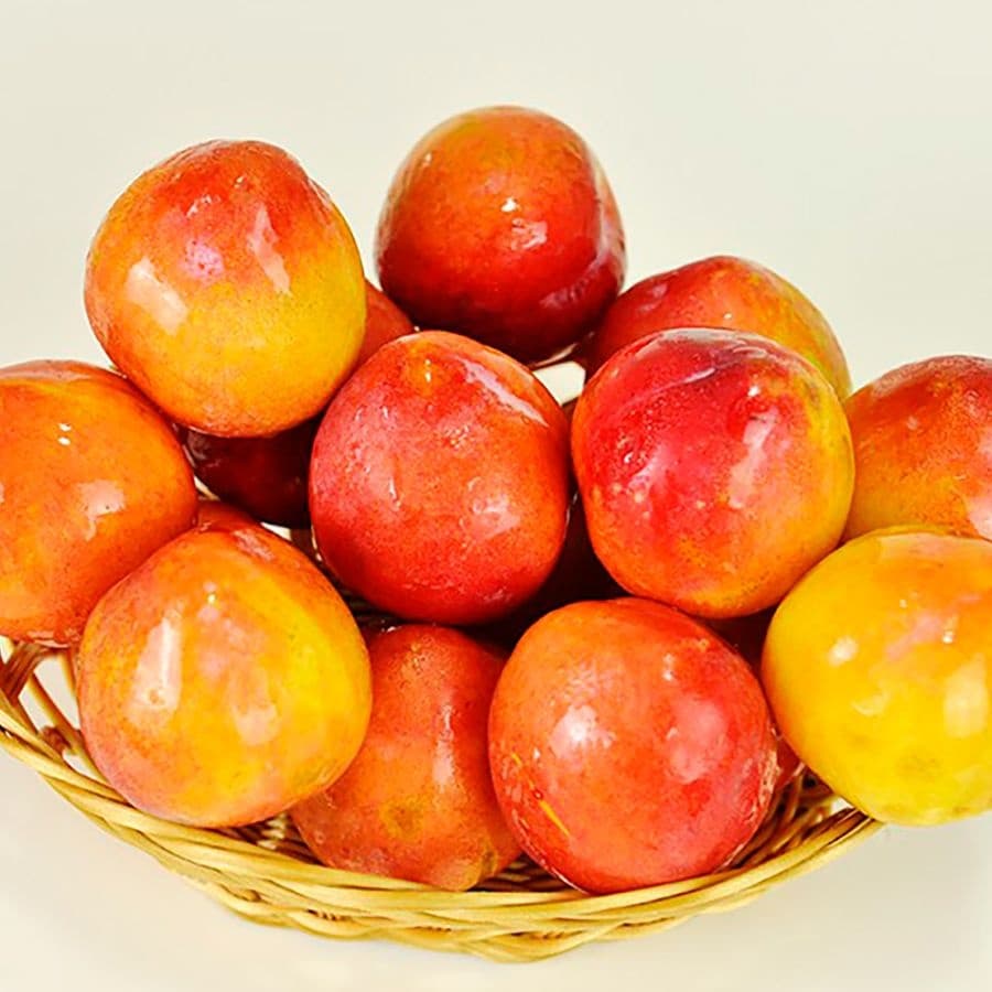 햇 도담자두 2kg