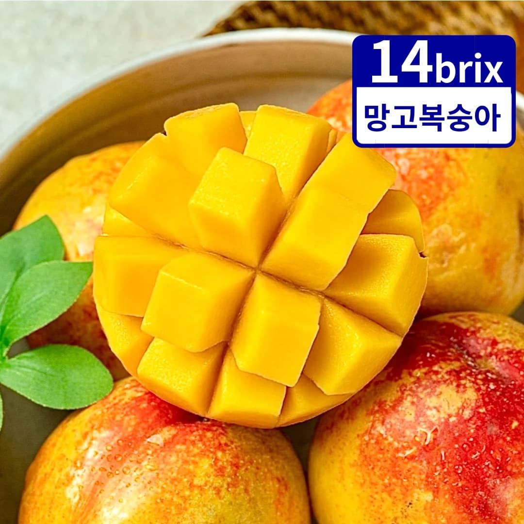 꿀당도 쫀득한 망고복숭아 천도복숭아 1kg/2kg (8,521원/무료)