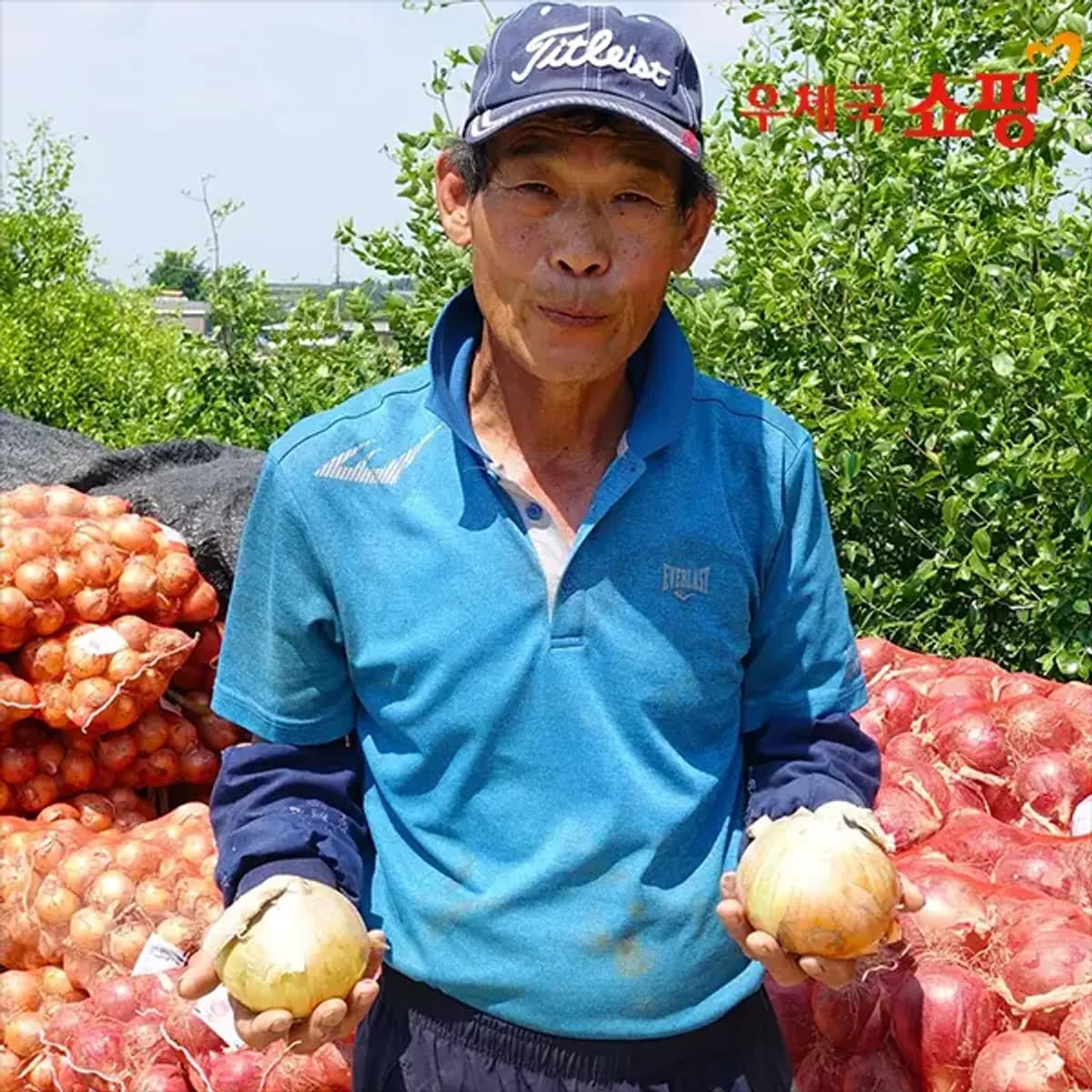 양파 중소사이즈 10kg
