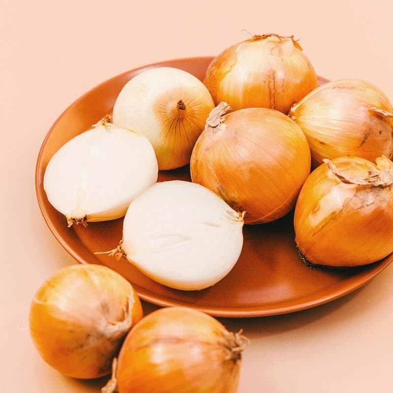 햇 양파 3kg 중소과