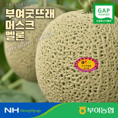 굿뜨래 멜론 8kg 내외