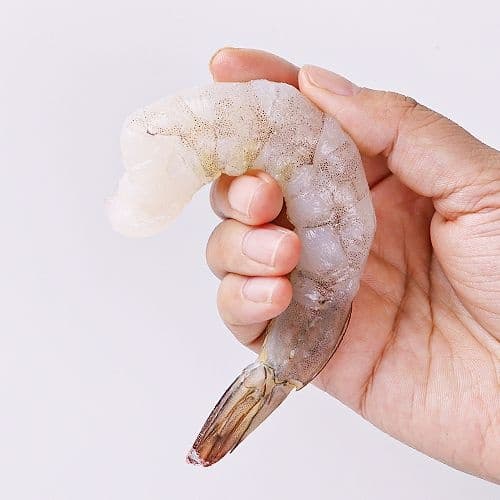 바른씨 손질 생 칵테일 새우 900g 소 8-90미 내외