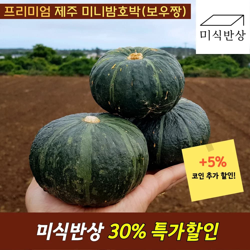 다이어트 킹 제주 프리미엄 고당도 미니밤호박 보우짱 2kg