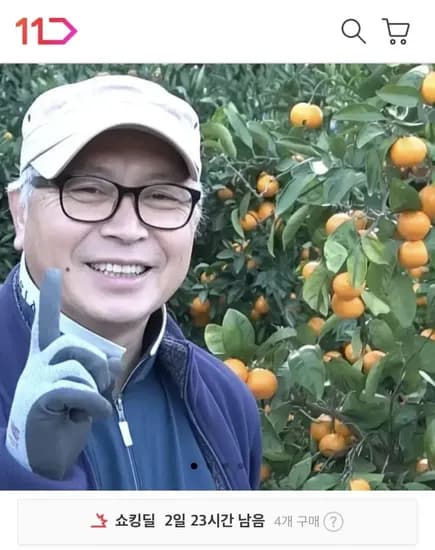 제주 타이벡 감귤 4.5kg S-L사이즈 (12,520원/무료)