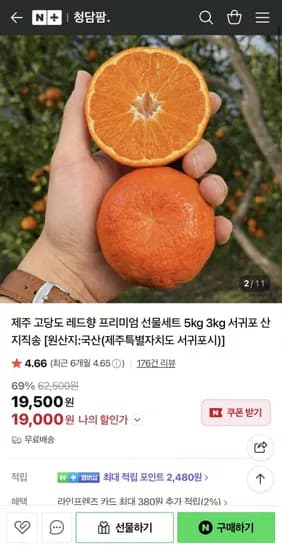 제주도 산지직송 레드향 중소과 2kg