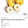 성주 꿀 참외 혼합외 다양 4.5kg