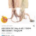 손질 오징어(대) 4kg 외 다양 4-6미