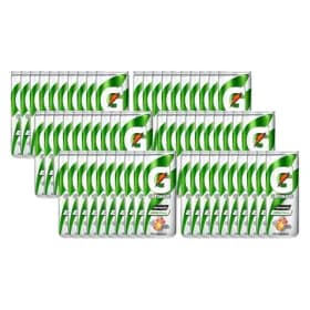 게토레이 레몬 240ml x 60�