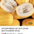 고당도 성주 꿀 참외 2kg