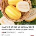 성주 고당도 참외 꿀참외 10kg