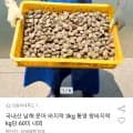국내산 남해 바지락 외 다양 3kg 통영 왕바지락 60미 내외