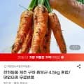 제주 구좌 흙당근 혼합 4.5kg 외 다양 20개