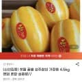 성주참외 외 다양 4.5kg 랜덤 혼합 총 20개