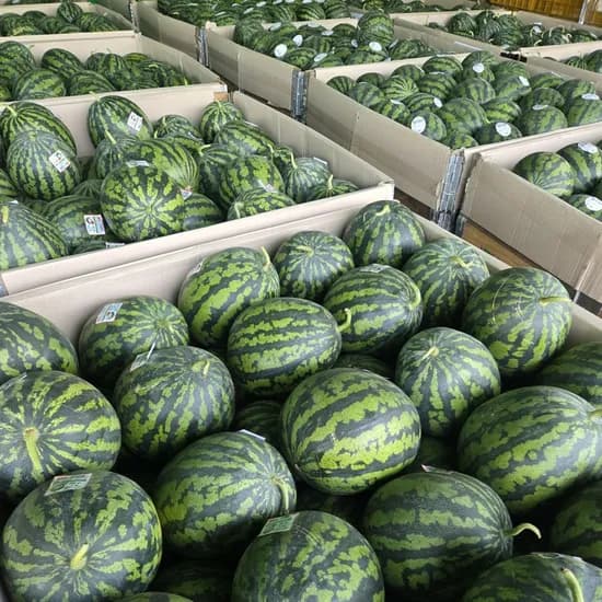 국내산 산지직송 고당도 수박 외 다양 5-6kg 총 10개