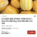 꿀벌 성주참외 못난이 참외 10kg 외 다양